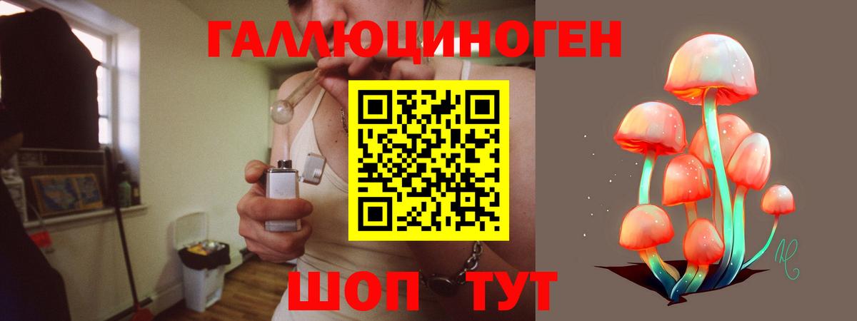 Псилоцибиновые грибы прущие грибы  Вход с VPN  Шарыпово 